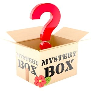 Mystery Clothing Box! Womens